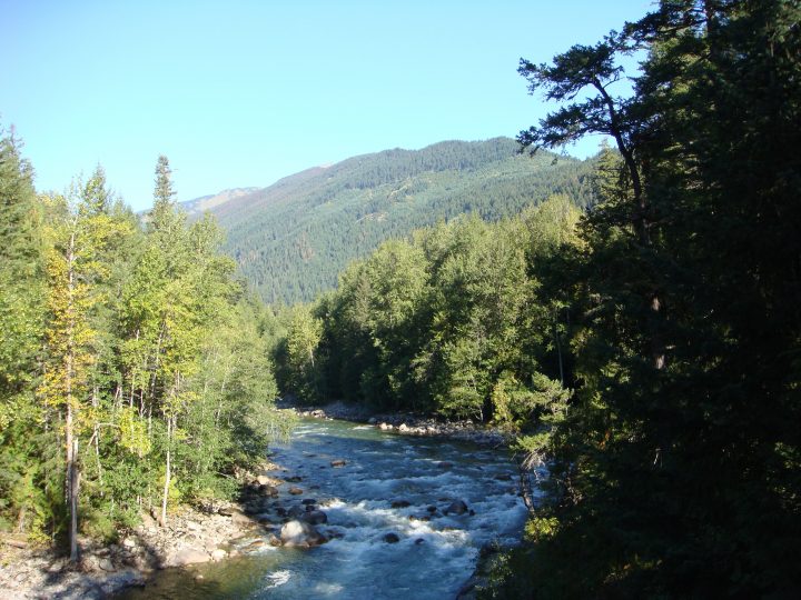 DSC07076