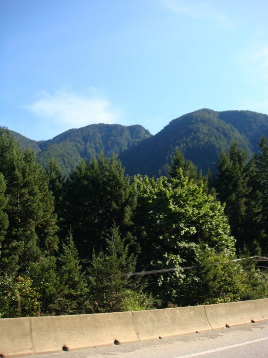 DSC07228