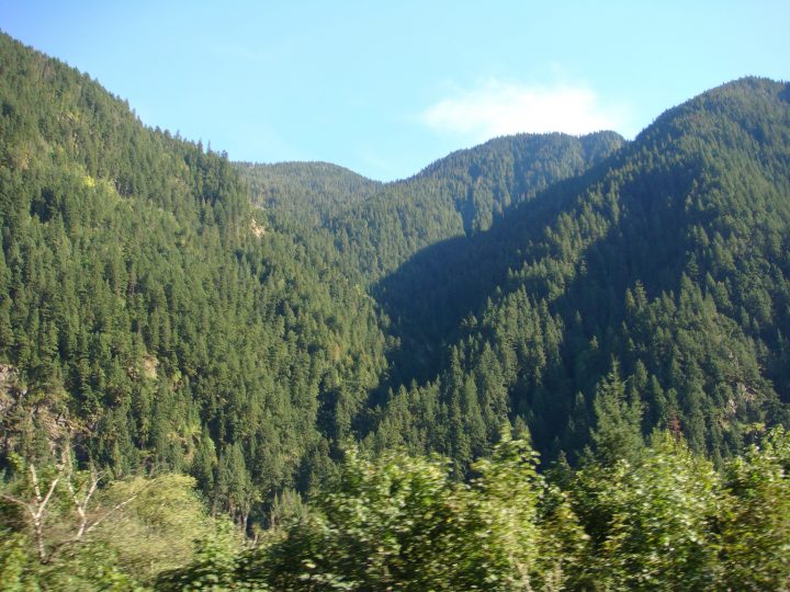 DSC07229