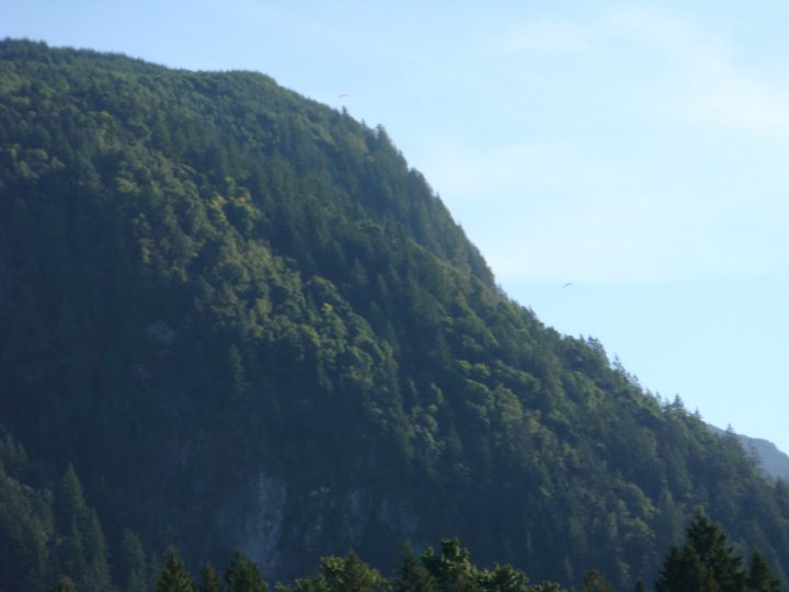 DSC07239