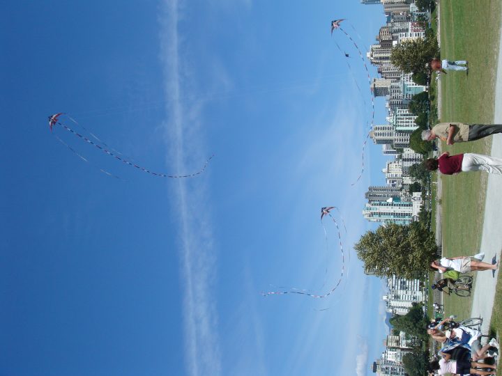 DSC02733