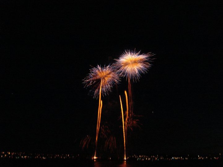 DSC02824