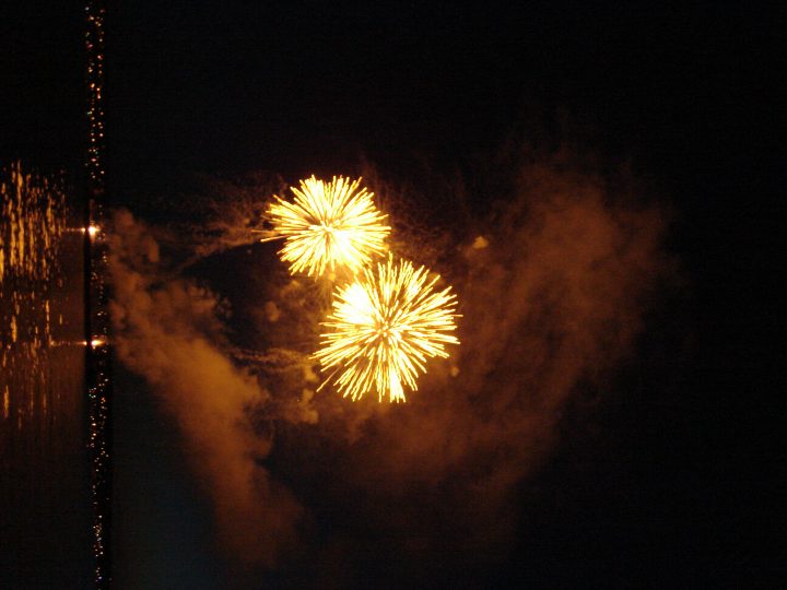 DSC02784