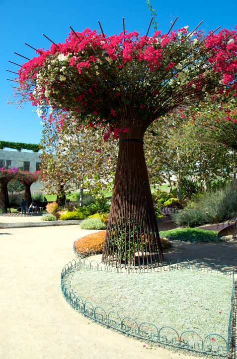 Getty Museum Garden