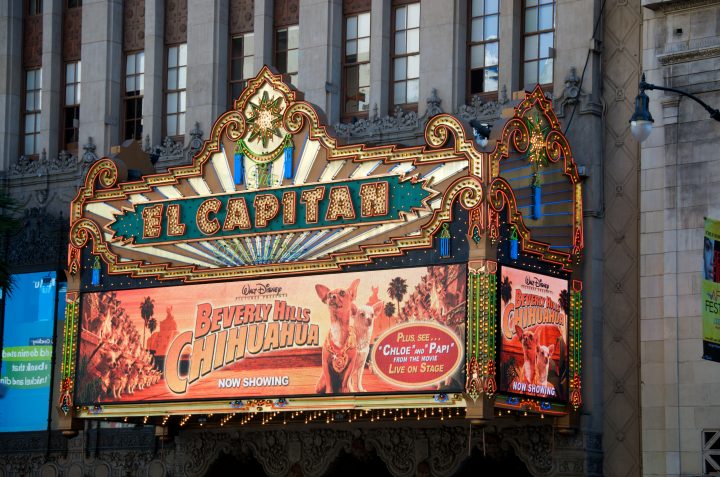 Beverly Hills Chihuahua Sign