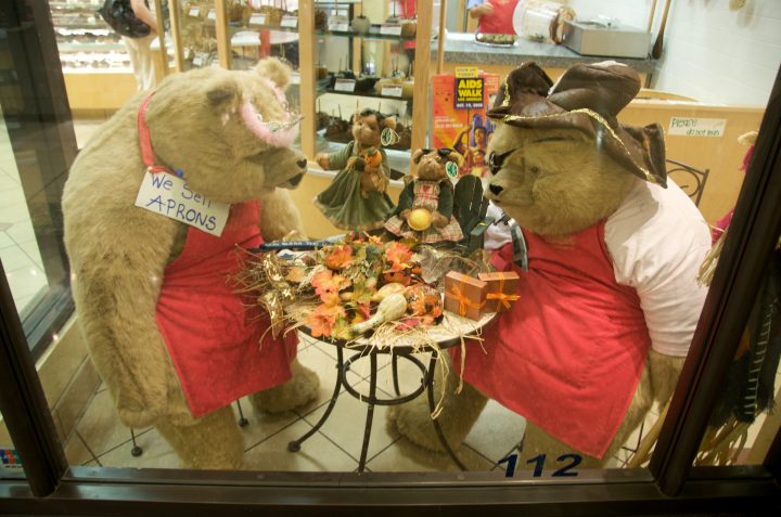 Bears