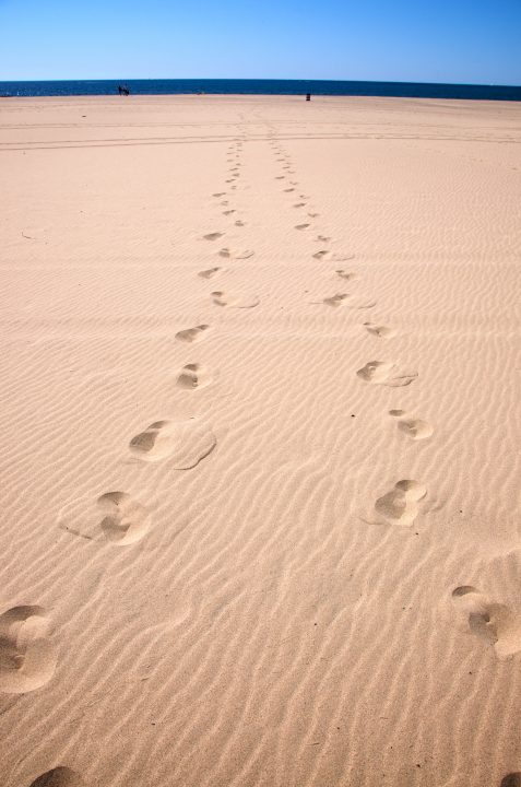 Our Footprints