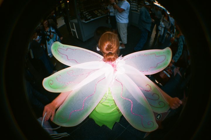 Wings