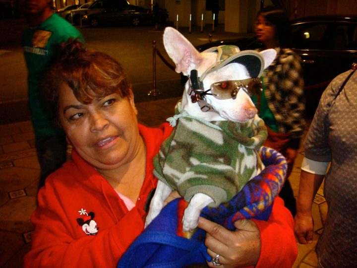 Freaky Dog Costume