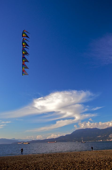 Man and Kite