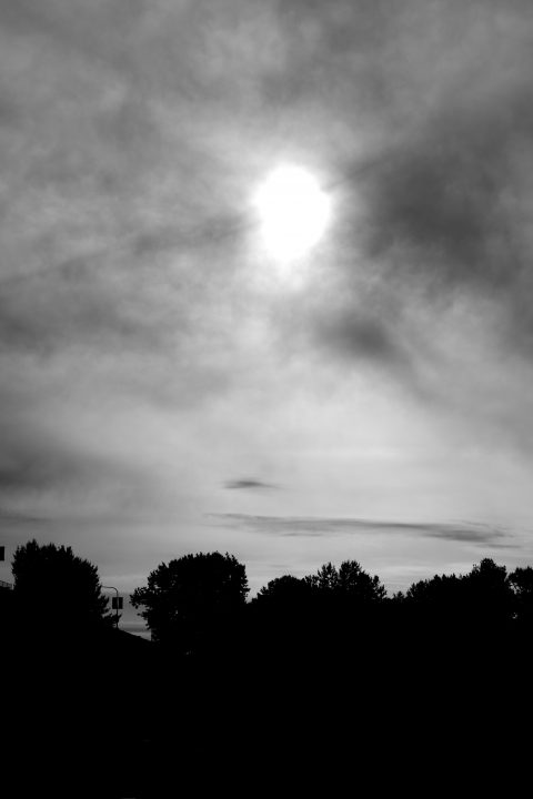Sun Tries to Get Through