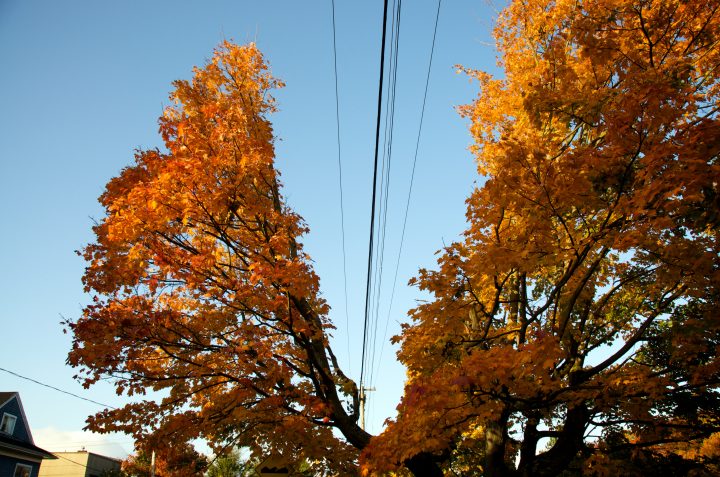 Power Line