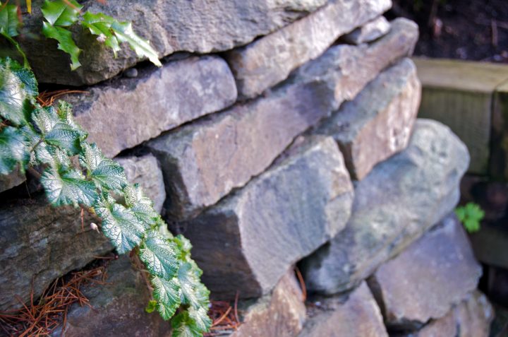 Leaf Rock Wood