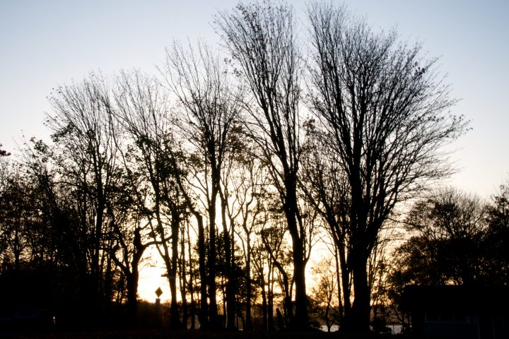 Silhouette