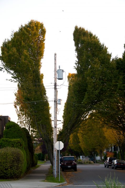 Power Line