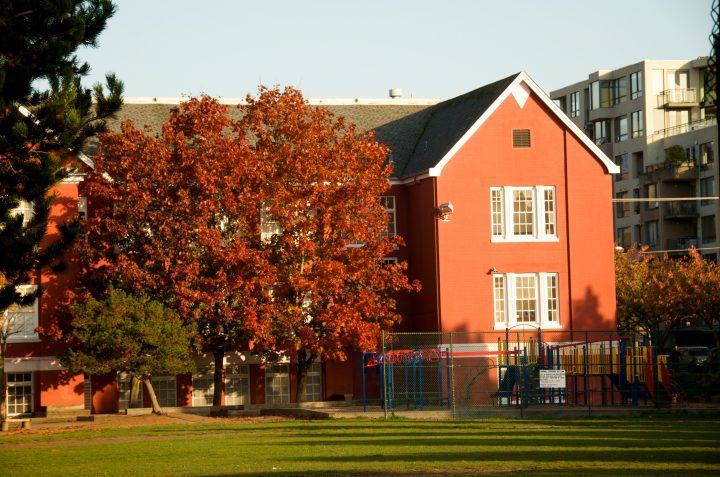 Fall Colors