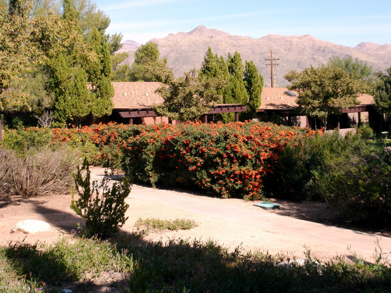 Untitled Photo 298 Duncan.co