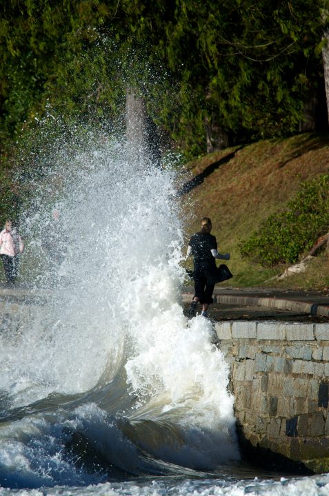 wave