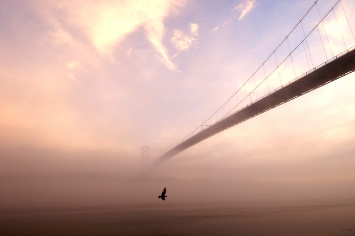 Lions Gate Bridge at Sunrise