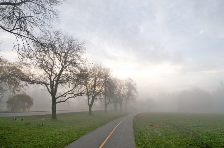 Fog at dawn