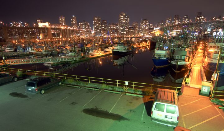 Marina and Cityscape