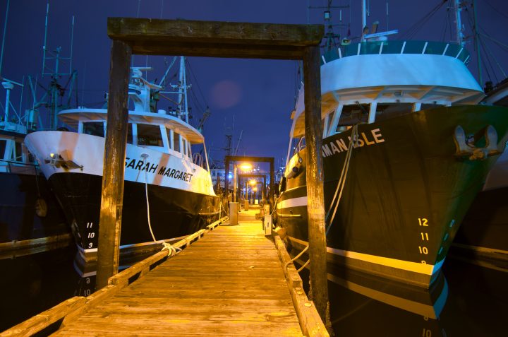 Docked Fishing Boats