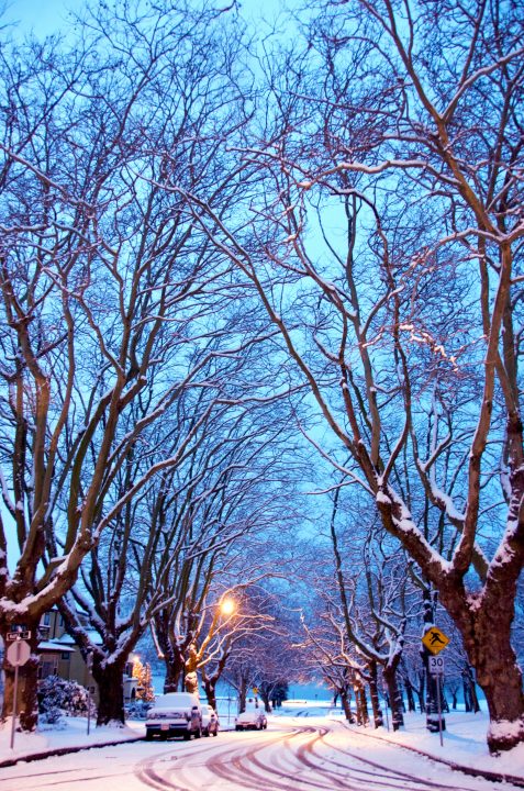 Snowy Street Scene