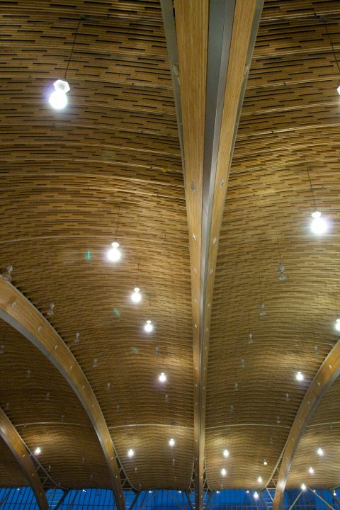 Richmond Oval Ceiling