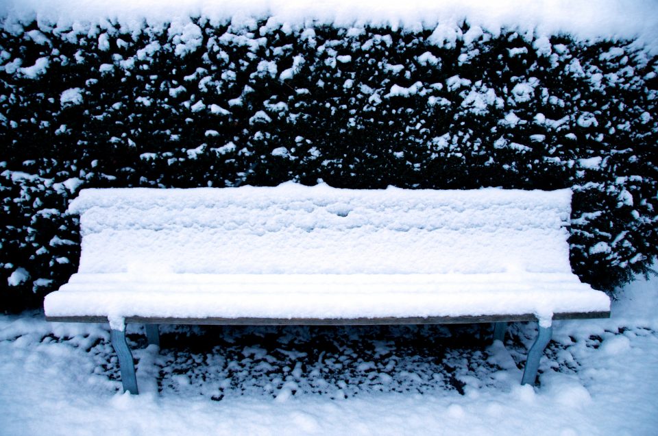 Snow Covered Bench Awaits Your Bum