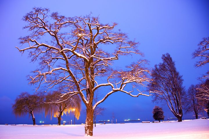 Snow Covered Kits Beach at Dawn