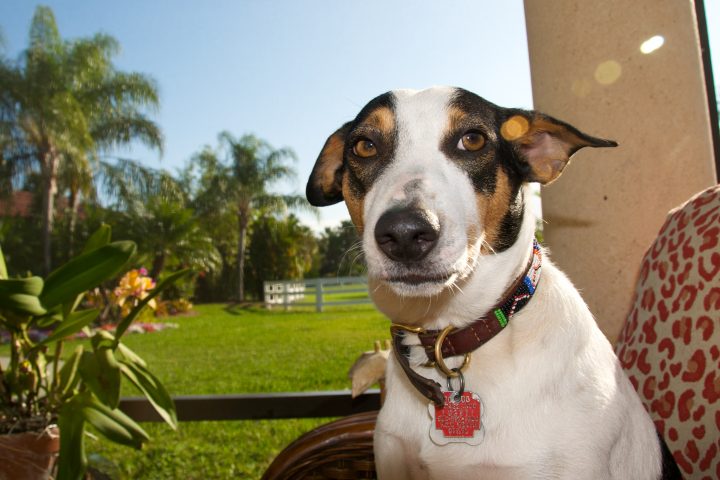 Buzz says “Wassup?!”