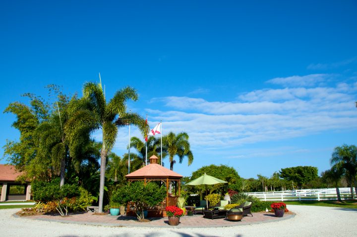 Blue Sky at Tropical Way