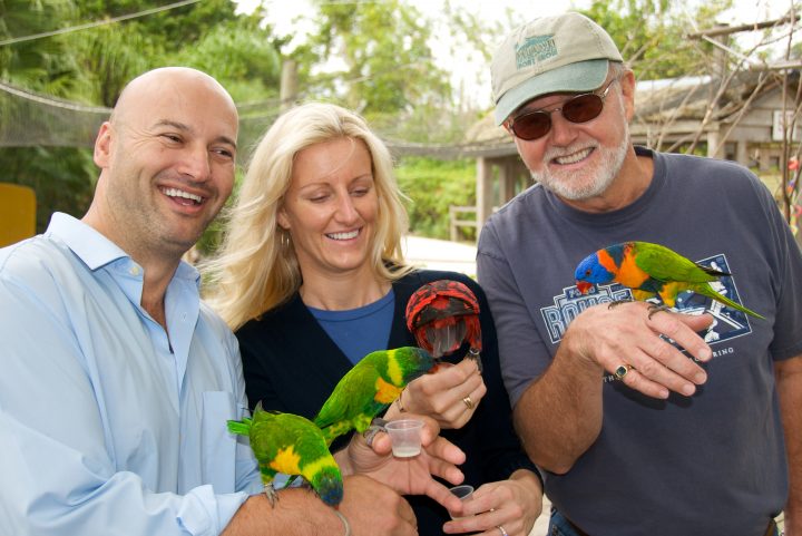 Feeding the Birds