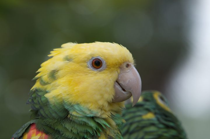 DSC_2101