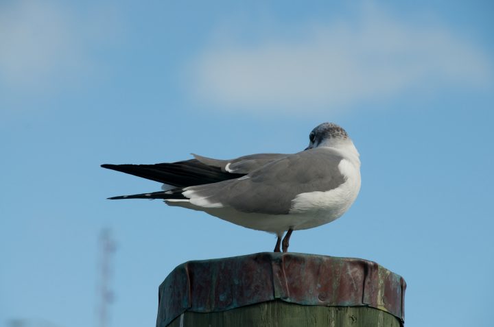 Untitled Photo 5495