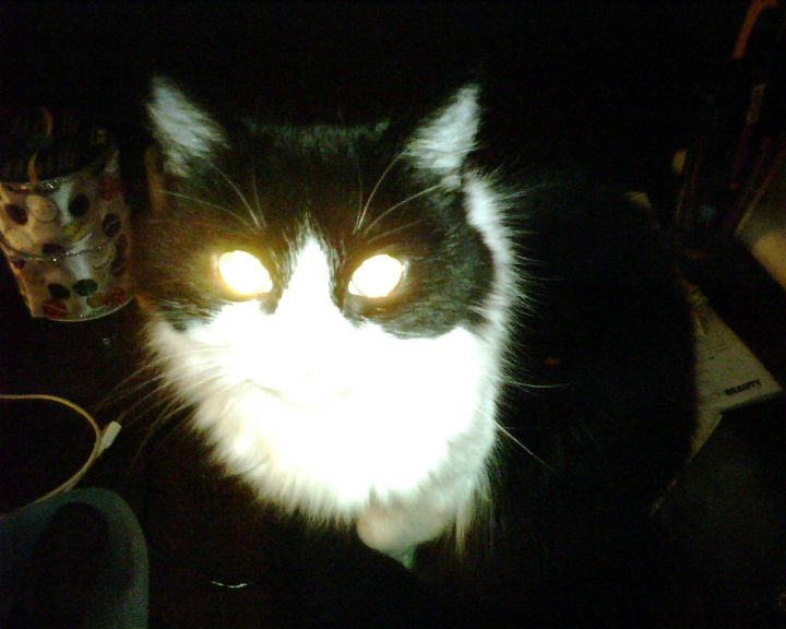 crazy eyes