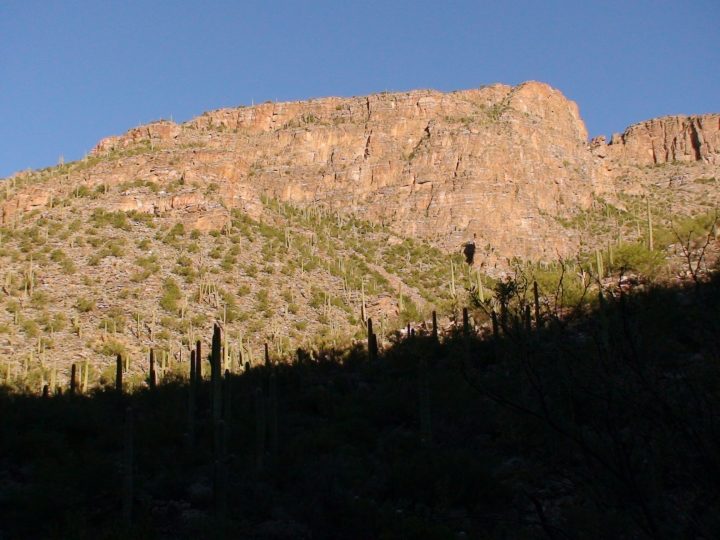 DSC09094