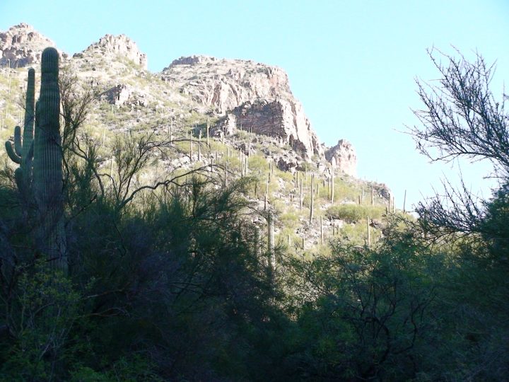 DSC09135