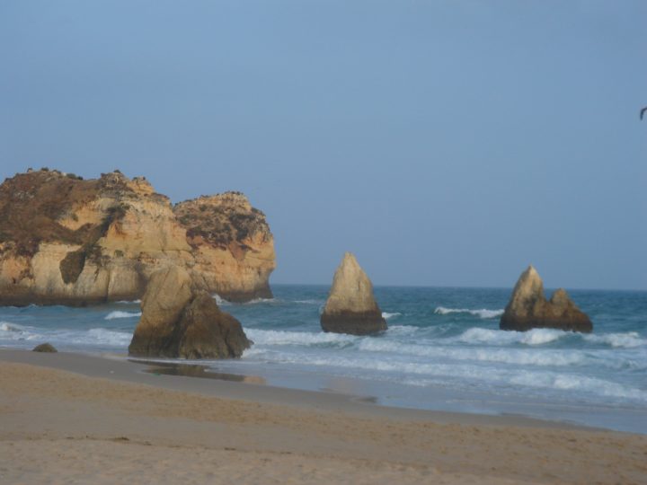 DSC08056