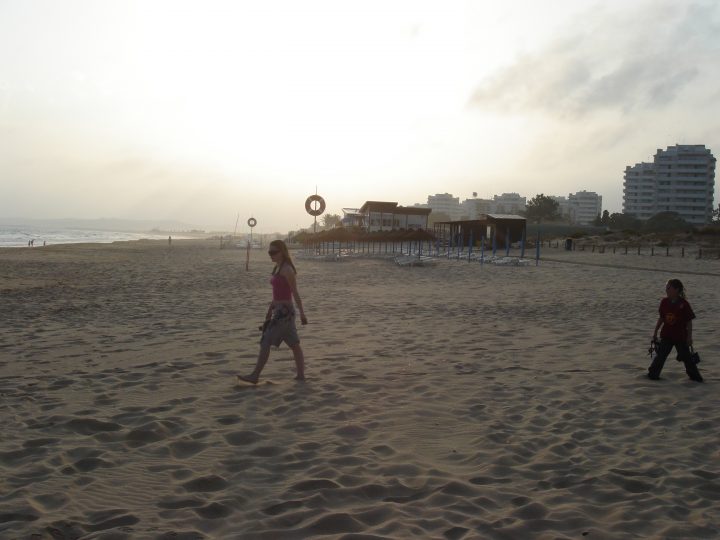 DSC08059