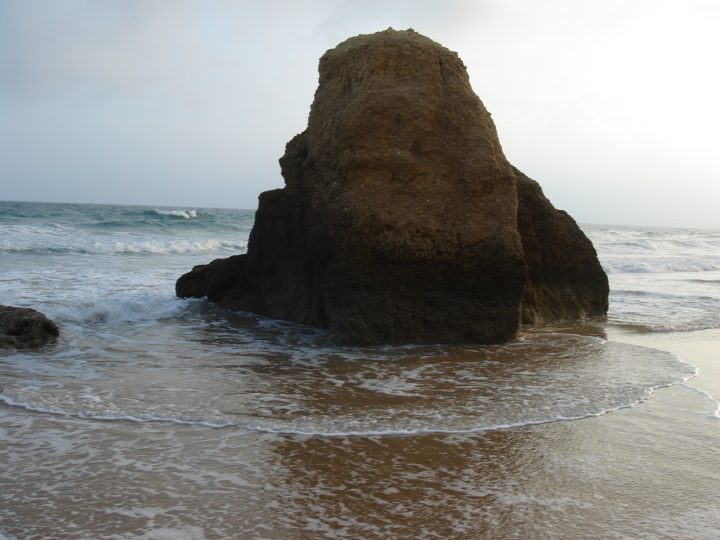 DSC08085