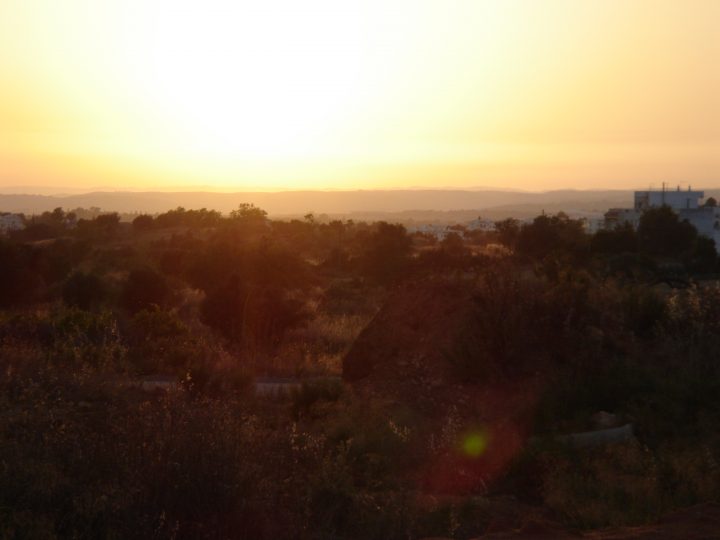 DSC08212