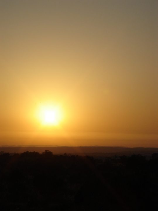 DSC08213