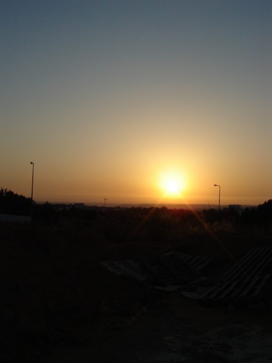 DSC08216
