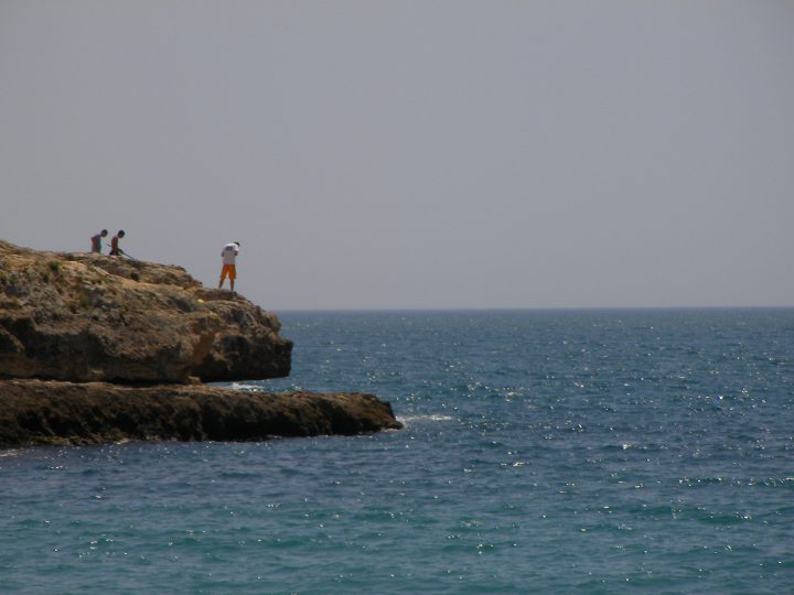 SANY0990