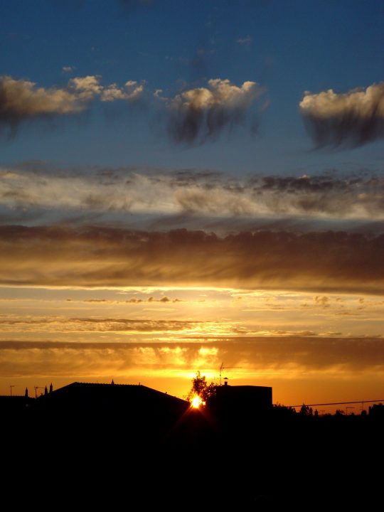 DSC08370