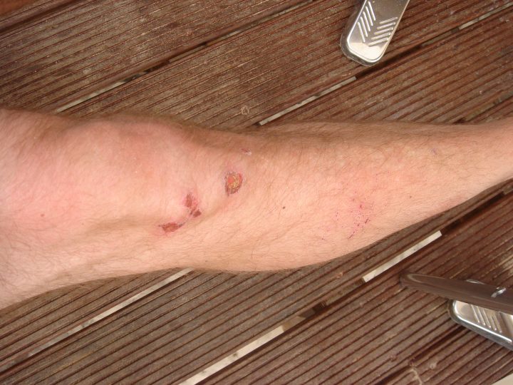 DSC08574