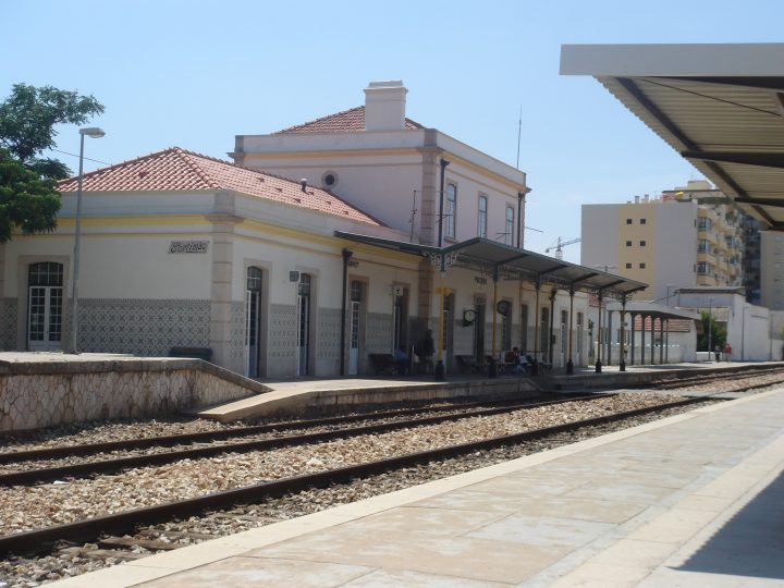 DSC08600