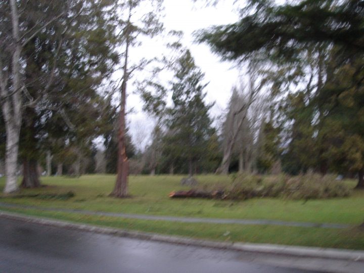 DSC00453