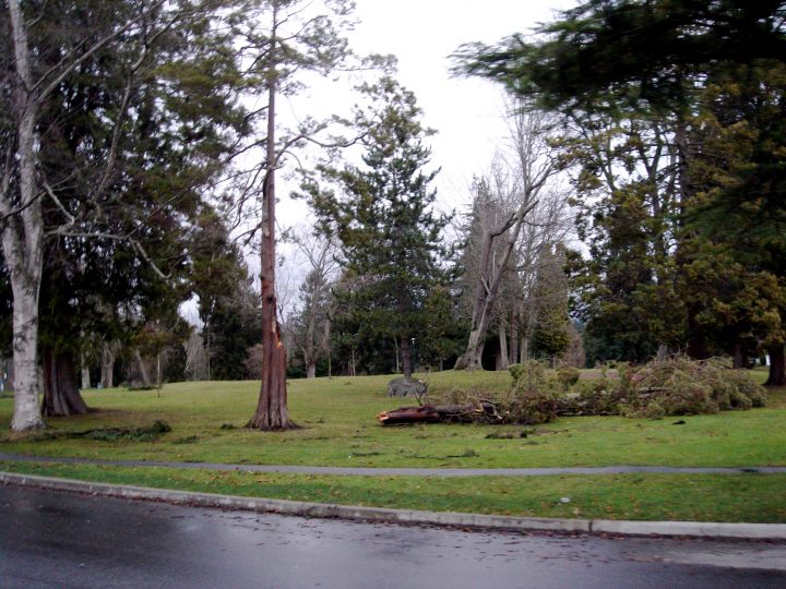 DSC00454